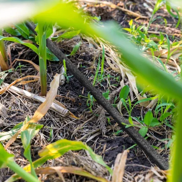 Kapljični namakalni sistem