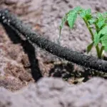 Kapljični namakalni sistem