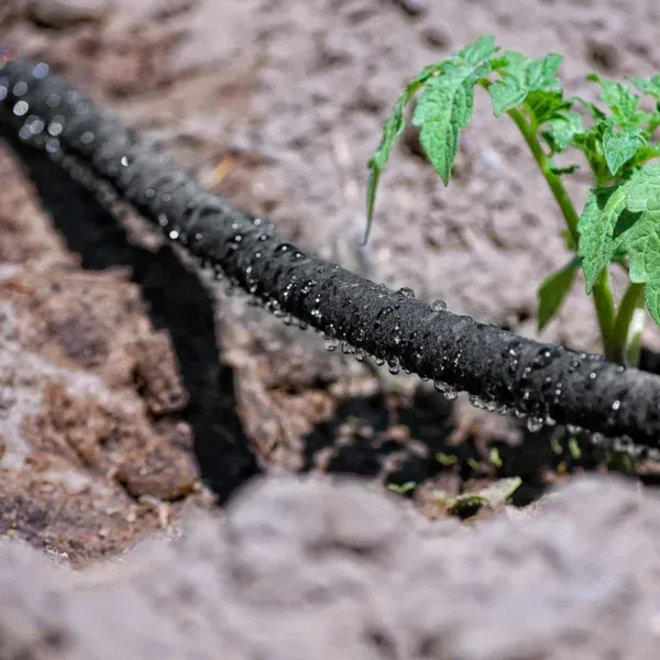 Kapljični namakalni sistem