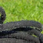 Kapljični namakalni sistem