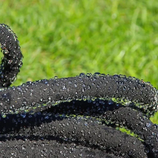 Kapljični namakalni sistem