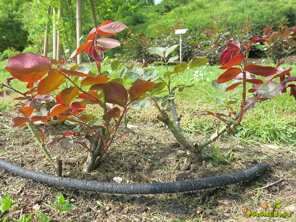 Miha Polajner - Super zadeva.