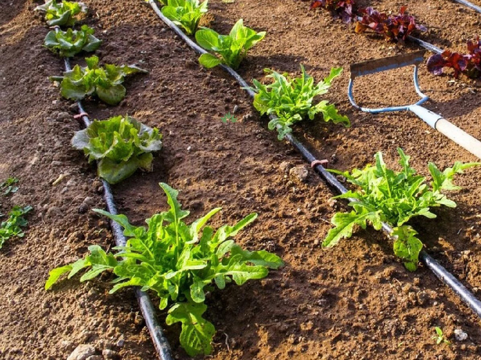 Jože Mlinar - Odlična namakalna cev