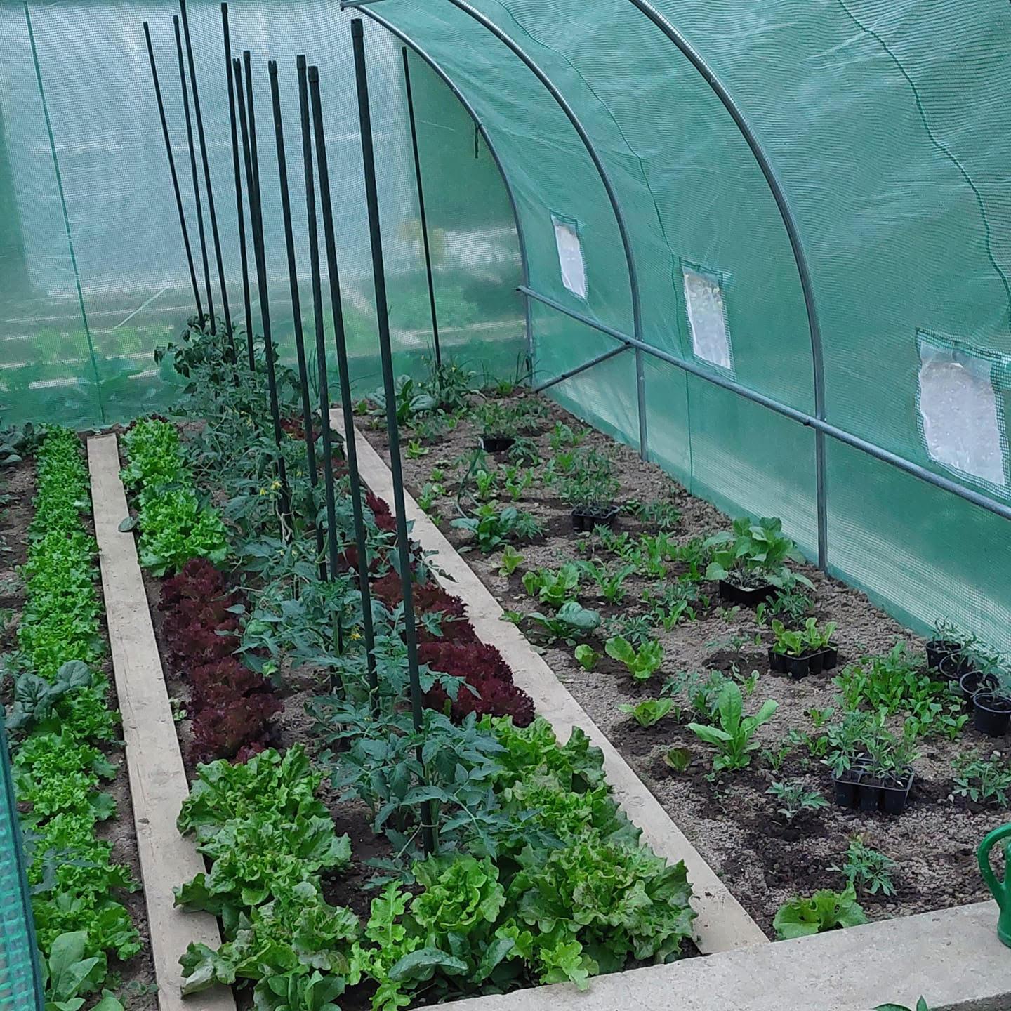 Metka Čep - Z rastlinjakom sem prezavodovljna!