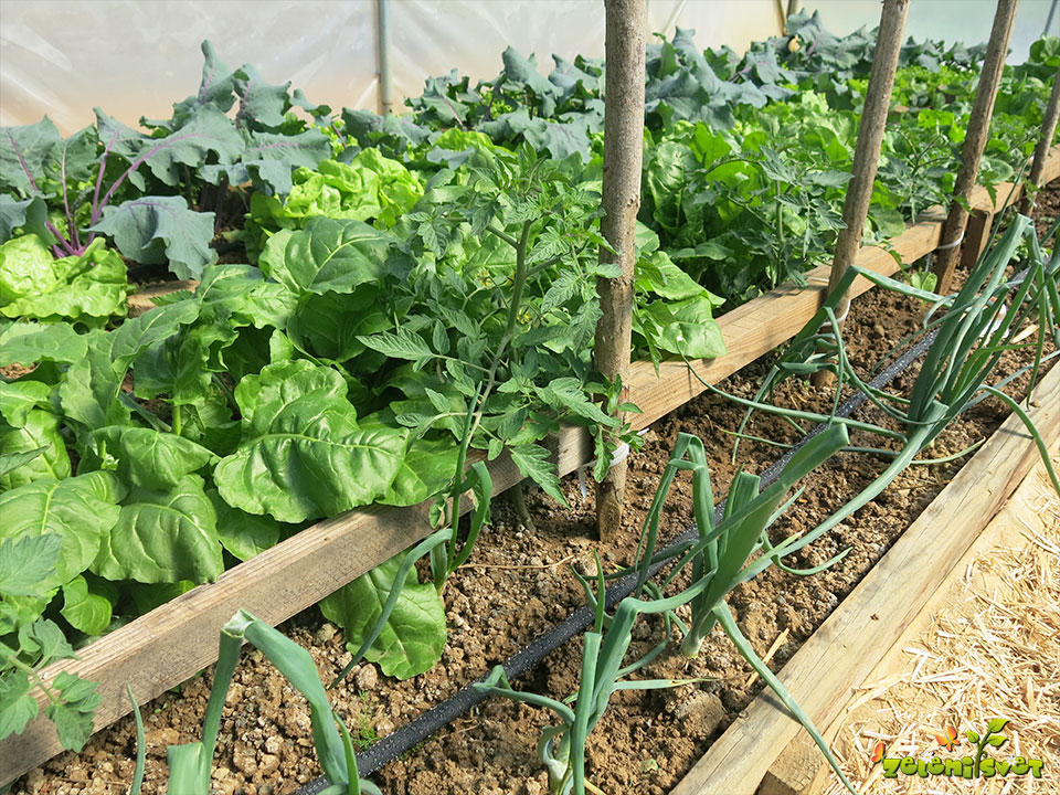 Metka Ftičar - Namestitev je proprosta