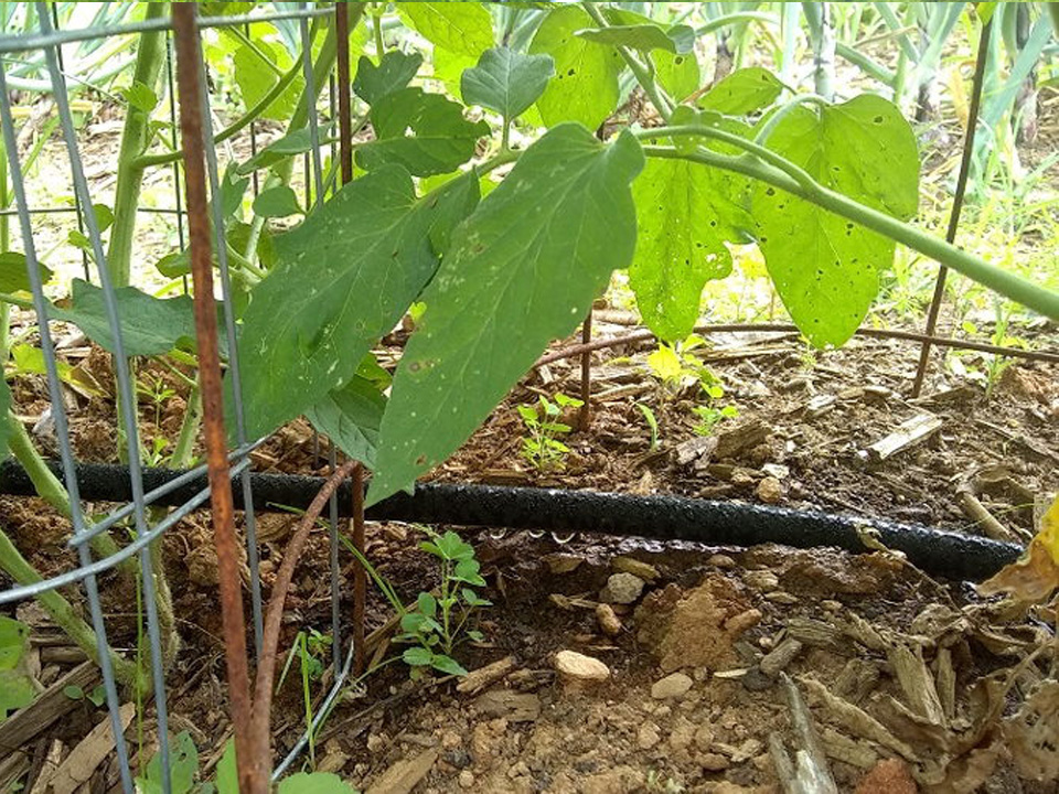 Mojca Šimec - Super, priporočam nakup!